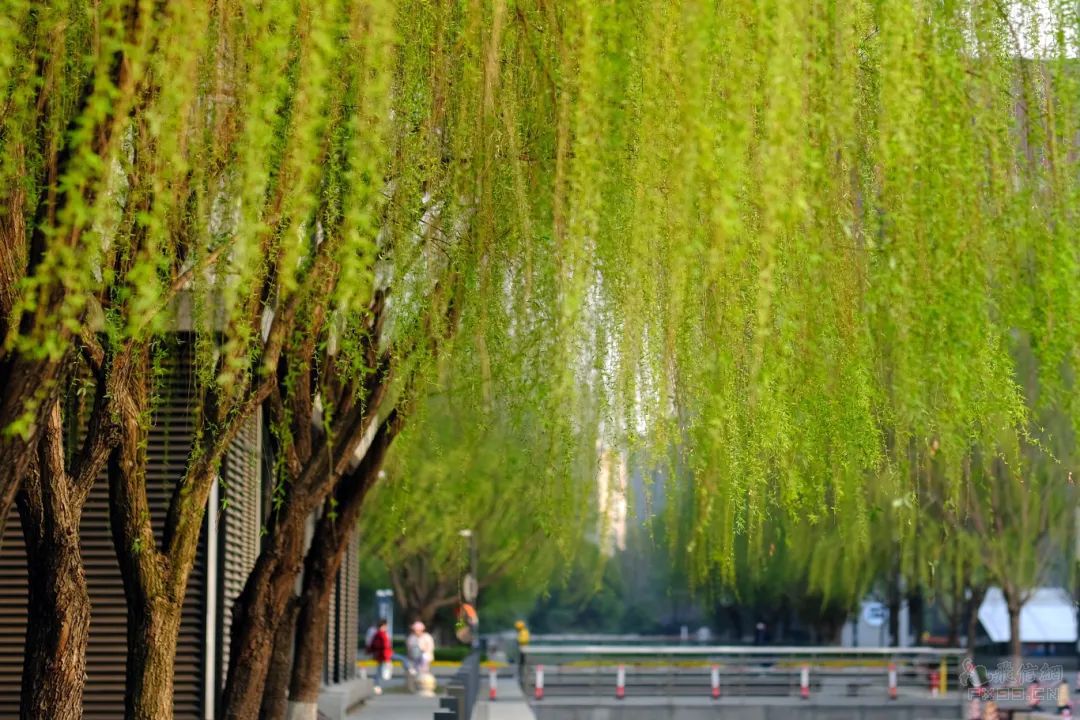 牛散持仓曝光！地方国资成跨境基金第一大持有人，但斌持有7只纳指产品